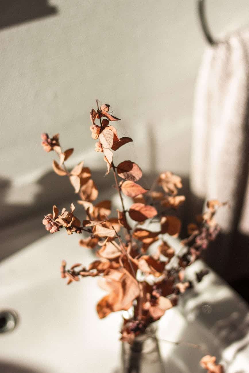 10 Must-Have Items to Create a Cozy Fall Bathroom Retreat